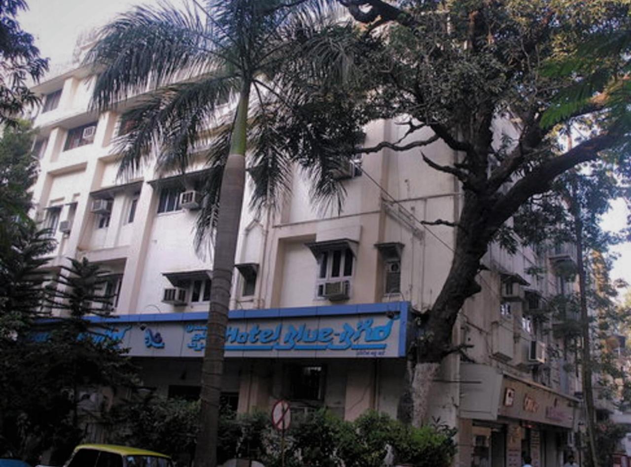 Hotel Blue Bird Colaba Mandve Exteriör bild